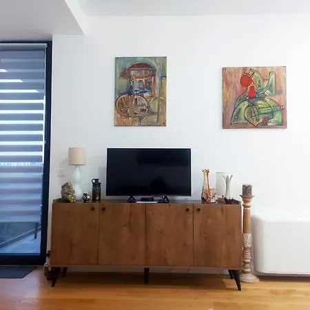 Danube Riverfront 8 * ベオグラード